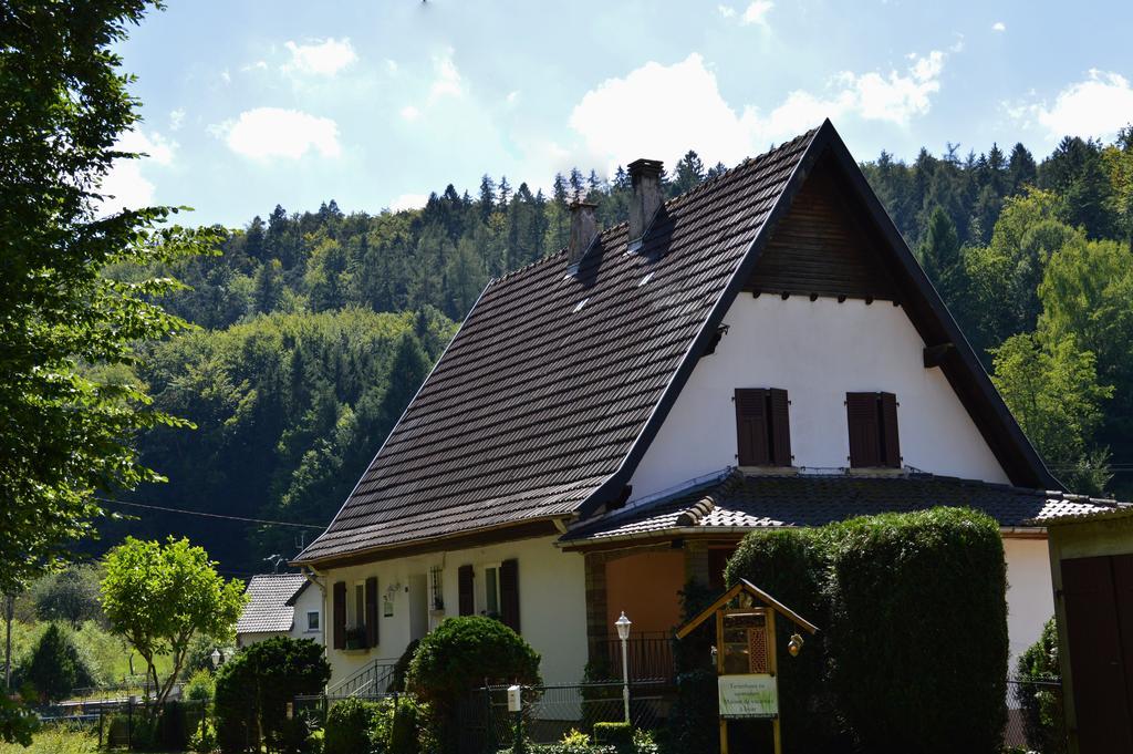 Le Gite De L'Ecureuil Sturzelbronn Екстер'єр фото