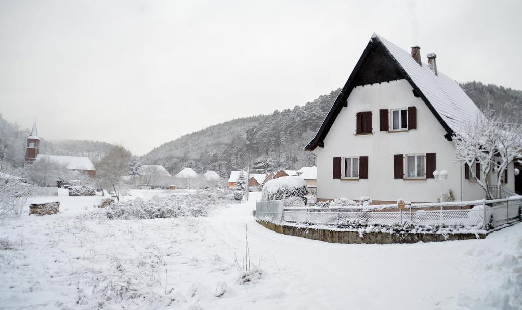 Le Gite De L'Ecureuil Sturzelbronn Екстер'єр фото