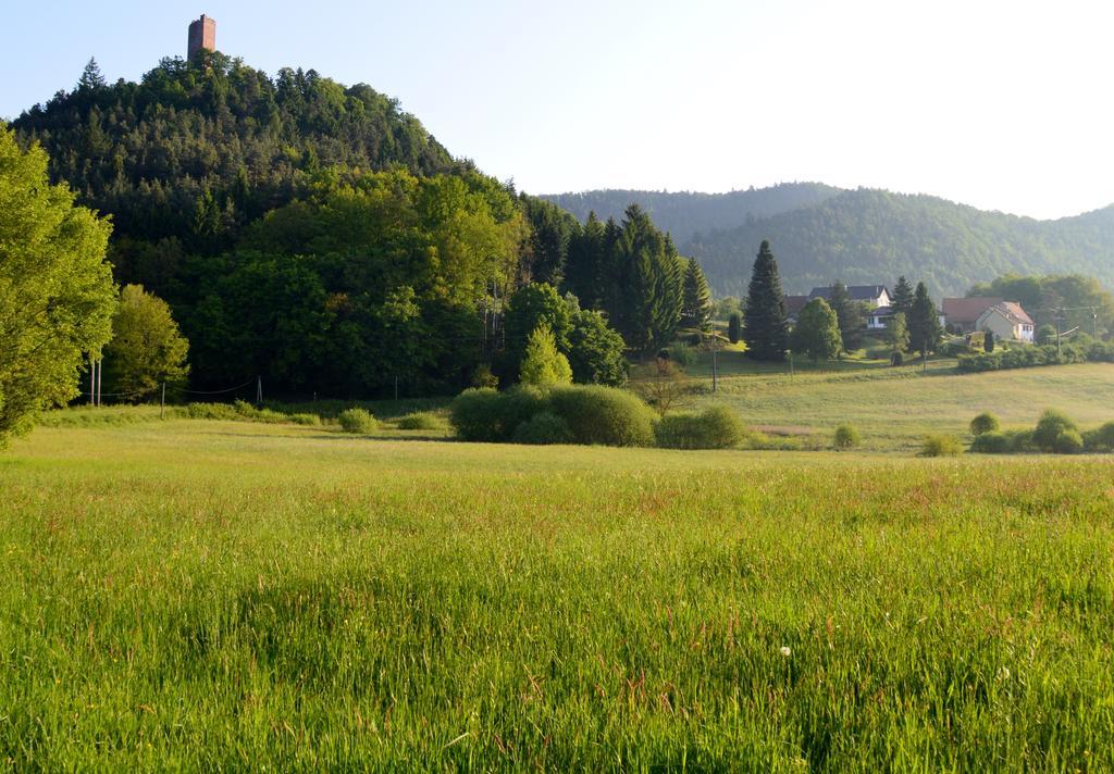Le Gite De L'Ecureuil Sturzelbronn Екстер'єр фото